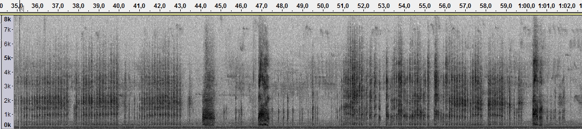 SpektrogramArdeaCinerea.jpg