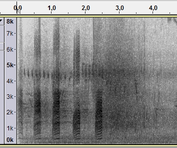SpektrogramAnasPlatyrhynchosSamica1.jpg